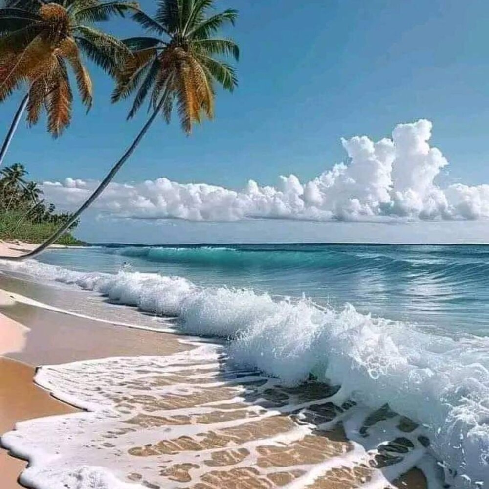 Meet your Posher, Barbara